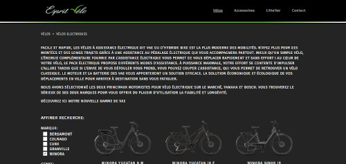 Esprit Velo logo